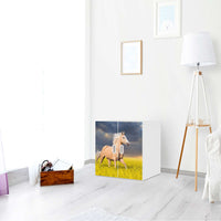 Selbstklebende Folie Wildpferd - IKEA Stuva / Fritids Schrank - 2 kleine Türen - Kinderzimmer