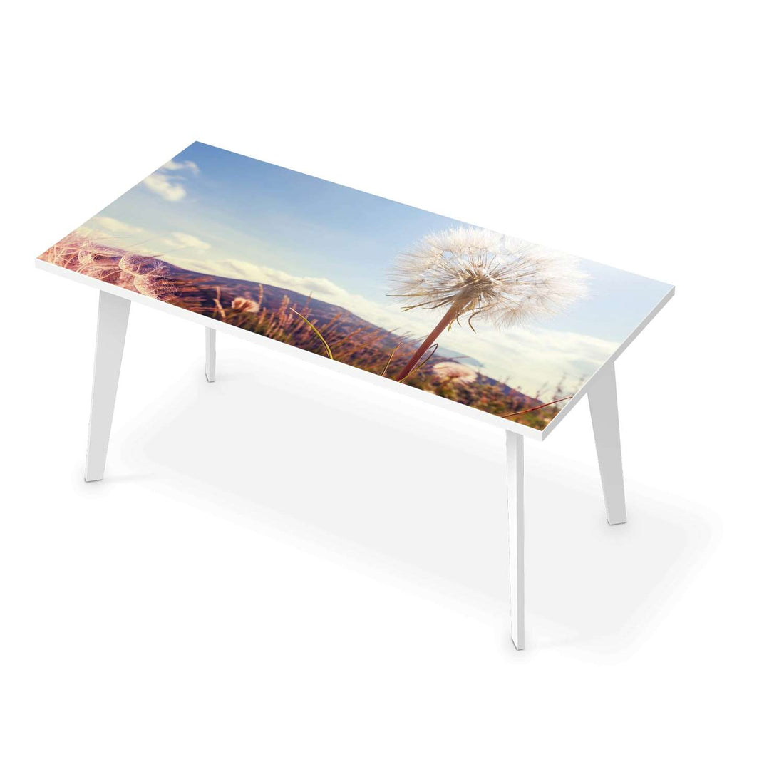 Tischfolie Dandelion - Esszimmer Tisch 160x80 cm