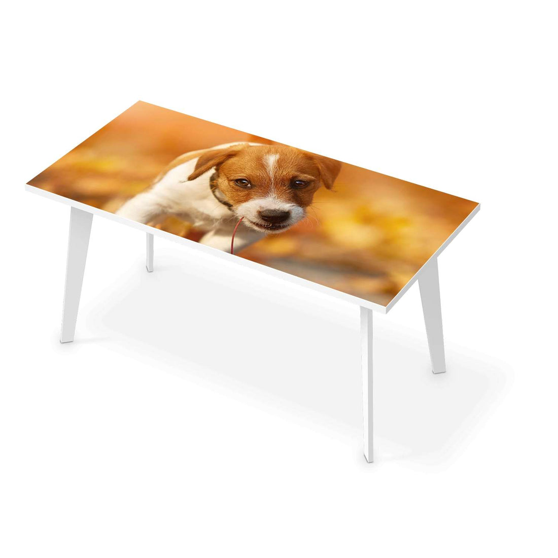 Tischfolie Jack the Puppy - Esszimmer Tisch 160x80 cm