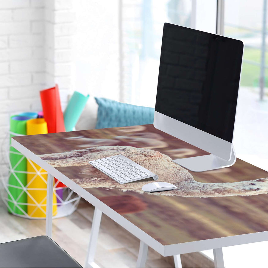 Tischfolie Pako - Tisch 160x80 cm - Schreibtisch