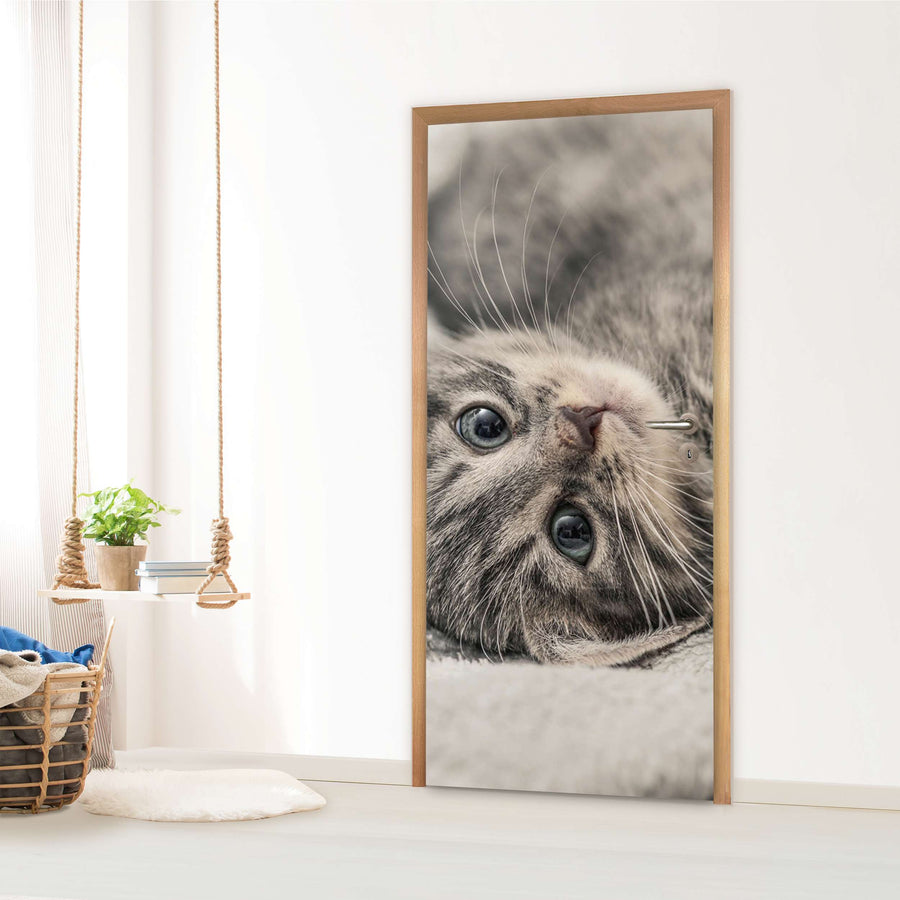 Türfolie Kinderzimmer - Kitty the Cat (Innen-/Außenfläche)