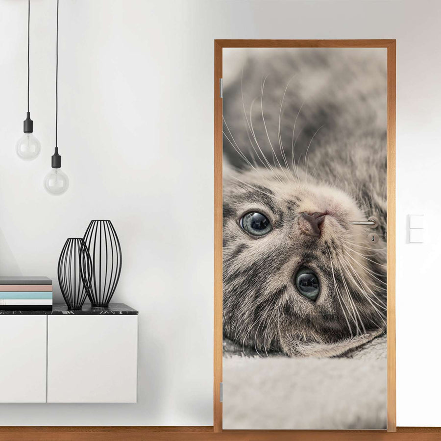 Türfolie Kitty the Cat - Wohnzimmer (Innen-/Außenfläche)